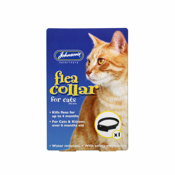 Cat Flea Collar Front