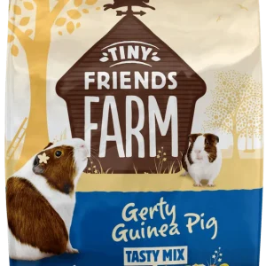 Gerty Guinea Pig Front E1583858334461.png