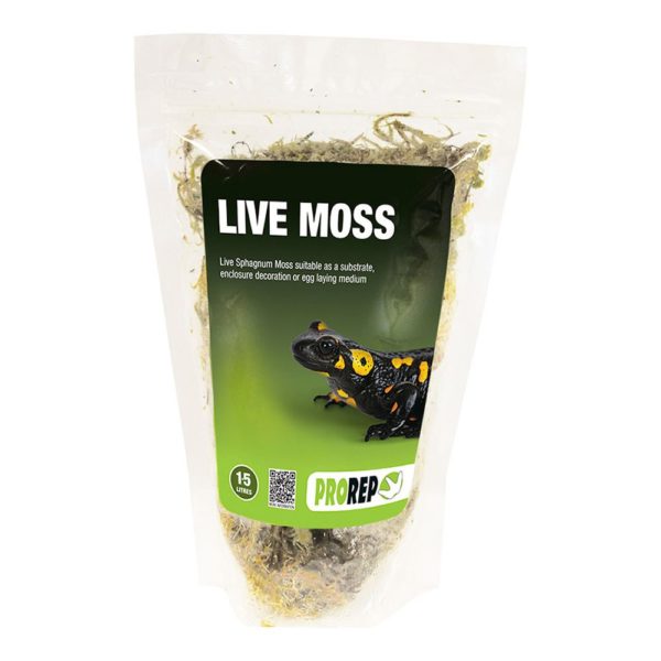 Live Moss1.5