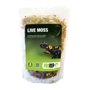 Live Moss3