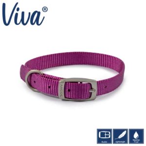 Viva Collar Purple