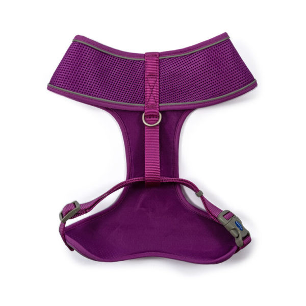 Comfort Harness Purple.back