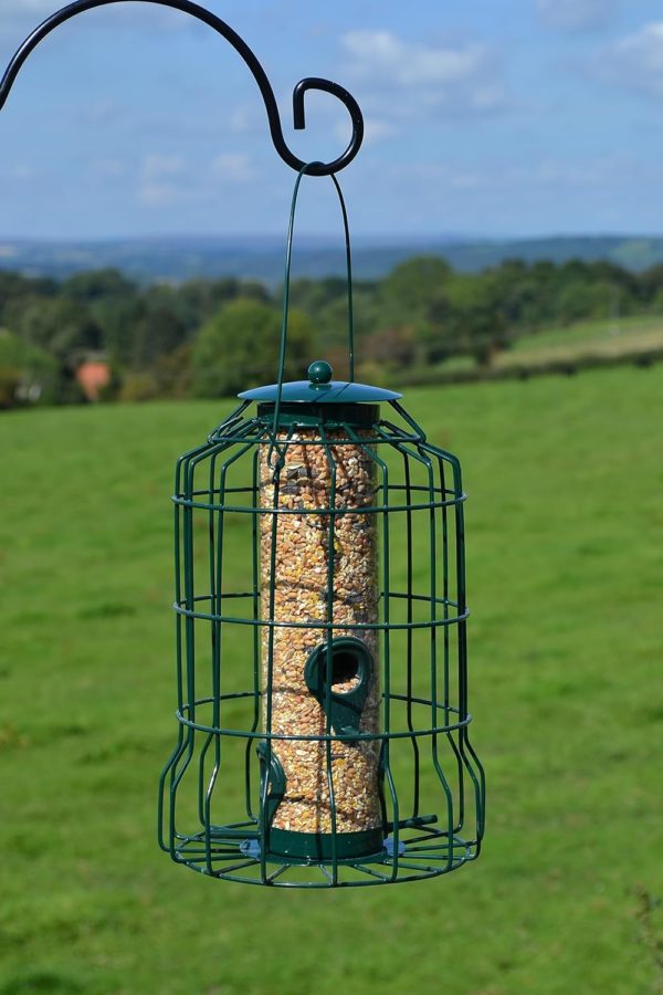 Seed Feeder Caged