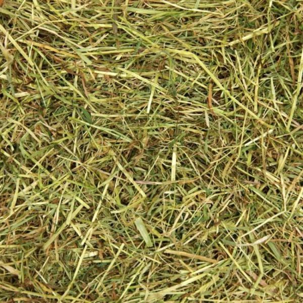 Meadow Hay Xl Premium Hay