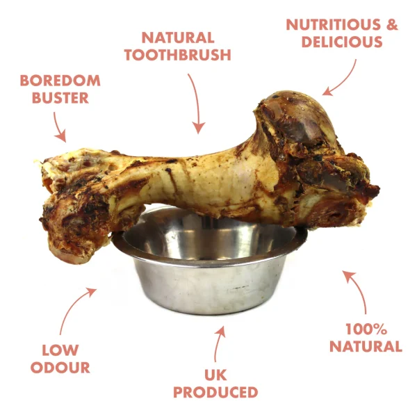 Benefits Of Feeding Your Dog Roast Whole Bones