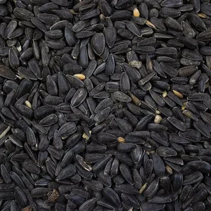 Black Sunflower Seeds