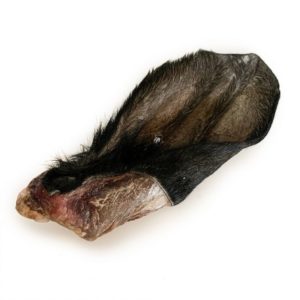 Cows Ear Hair