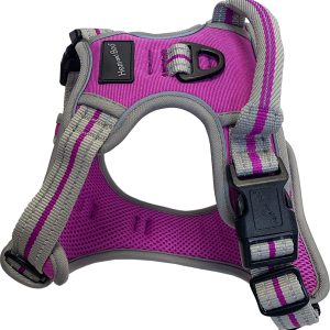 Hem & Boo Reflective Sports Dog Harness X Large