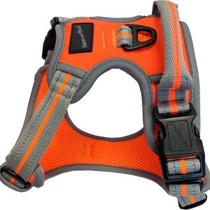 Hem & Boo Reflective Sports Dog Harness Medium